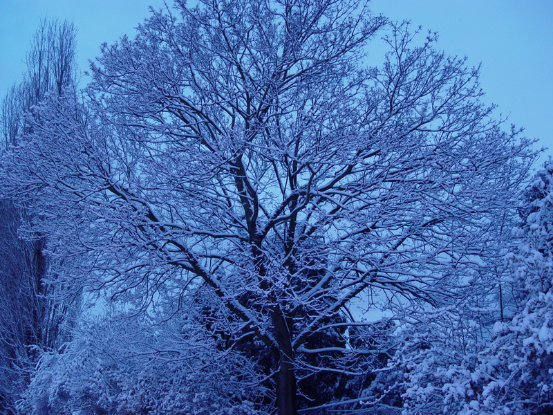 Neige Woluwé saint Pierre