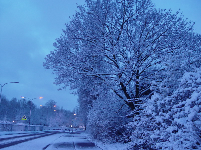 Neige Woluwé saint Pierre