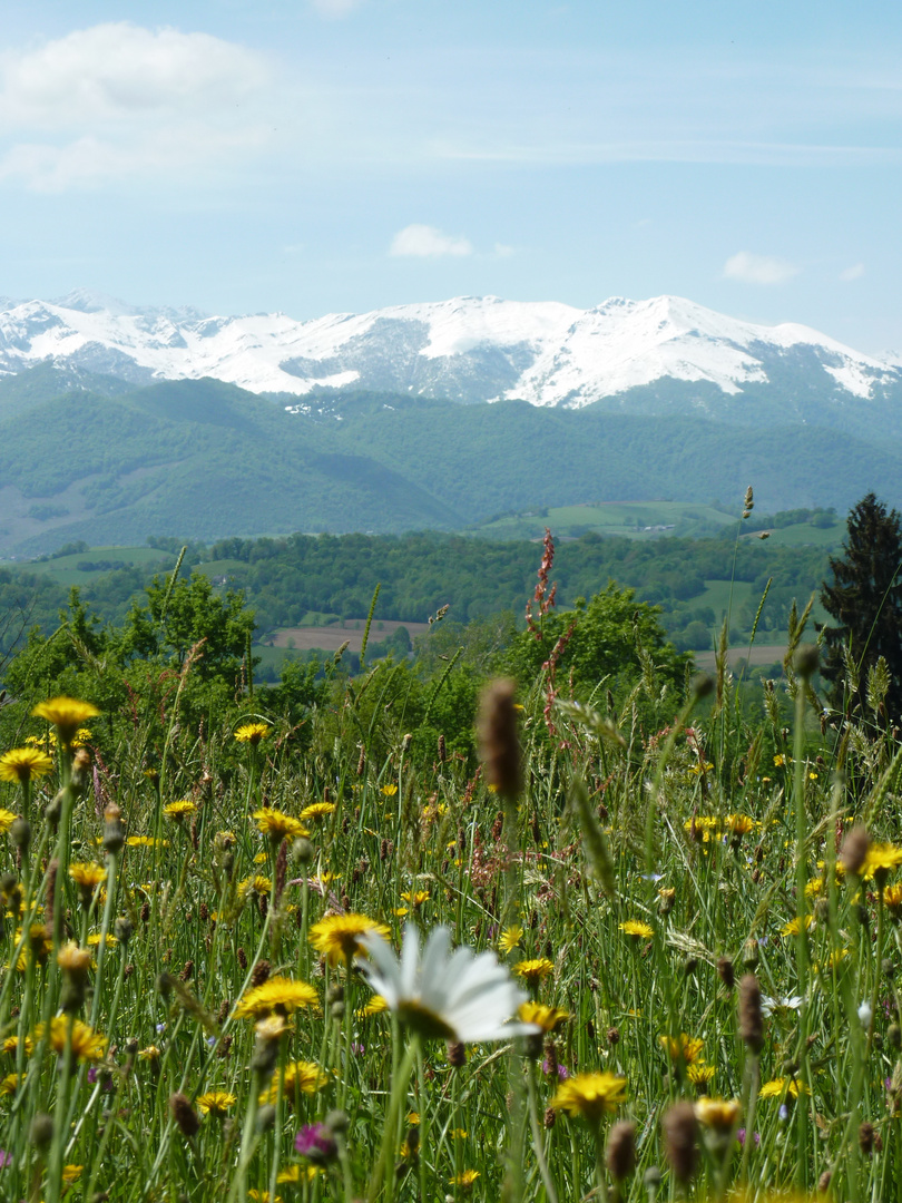 Neiges au printemps (2)