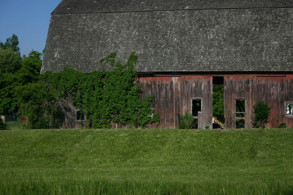 Neighborhood Barn