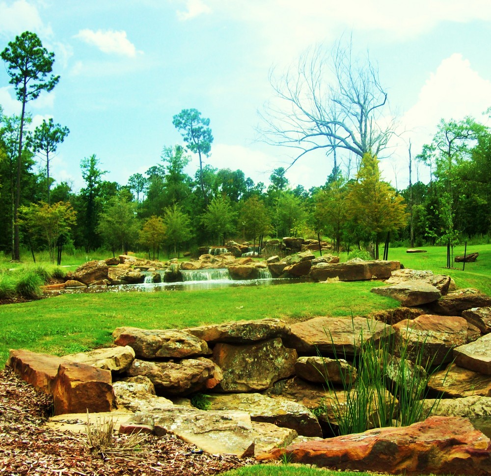 Neighborhood landscape 4