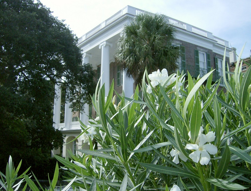 Neighbors of The Battery & White Point Park -- Charleston, S.C. -- USA