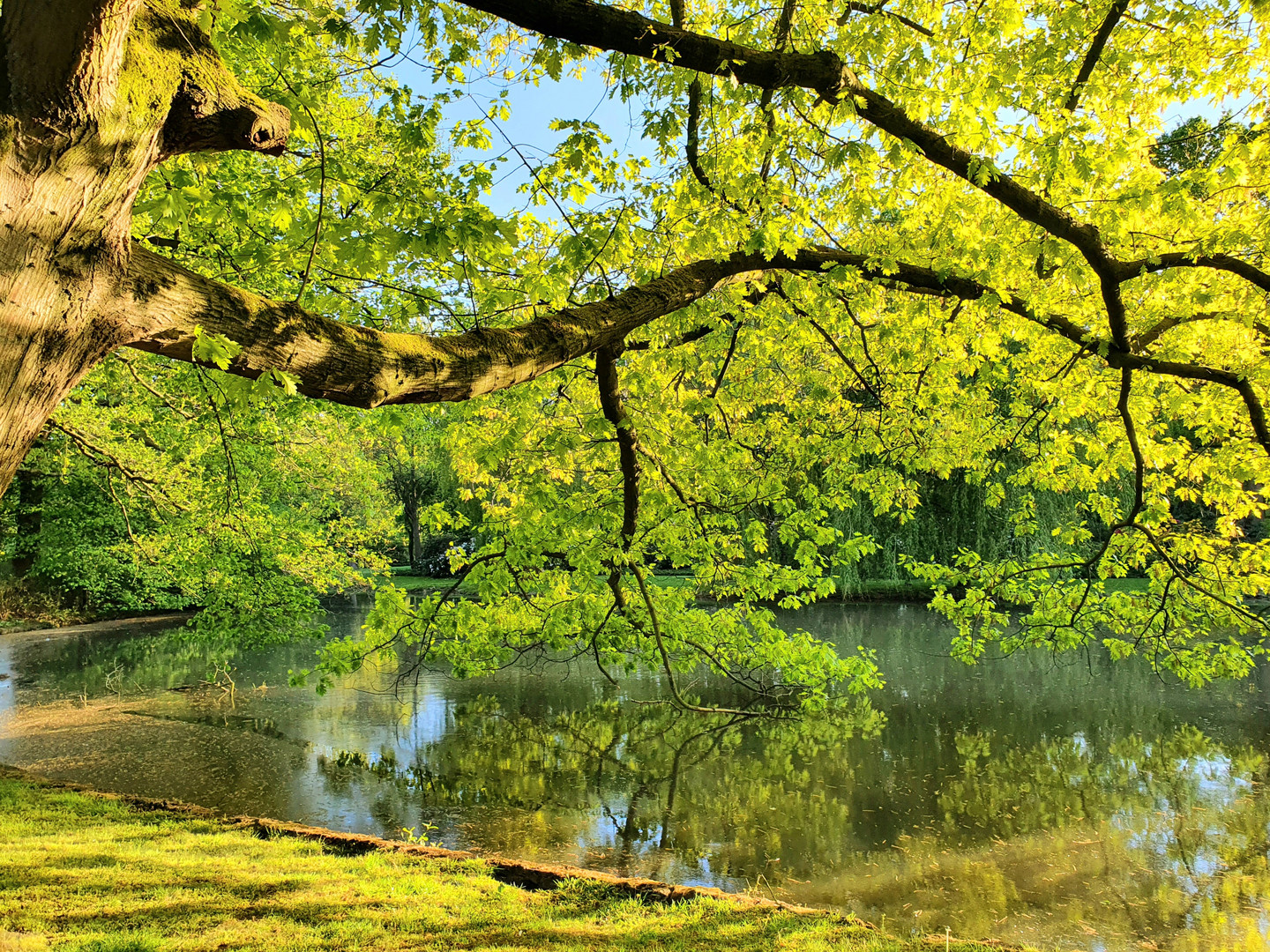 Neigung zum Wasser 