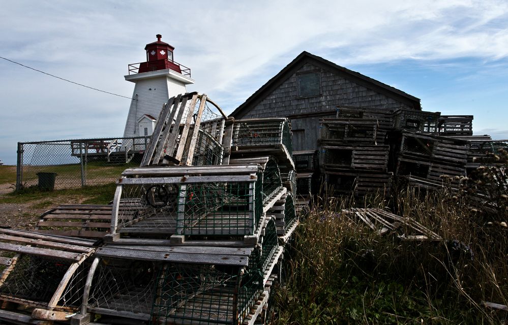 Neils Harbour