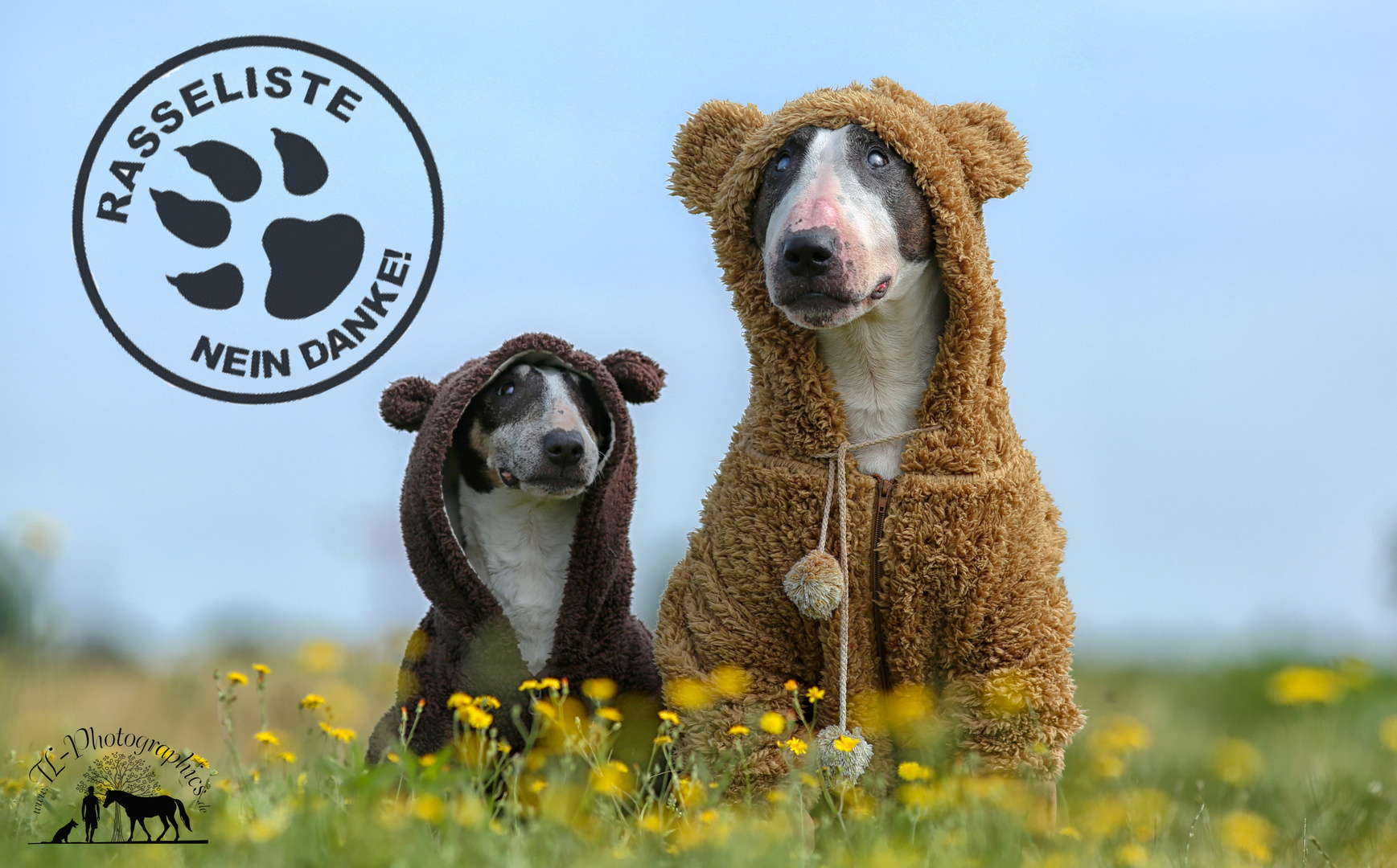 NEIN DANKE !! Foto &amp; Bild hund, tiere, bulli Bilder auf