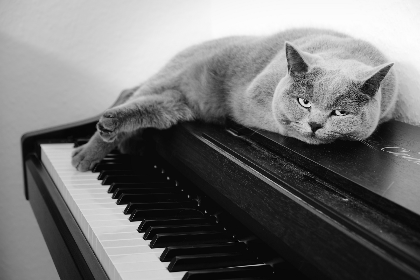 Nein, du willst jetzt nicht Klavier spielen!