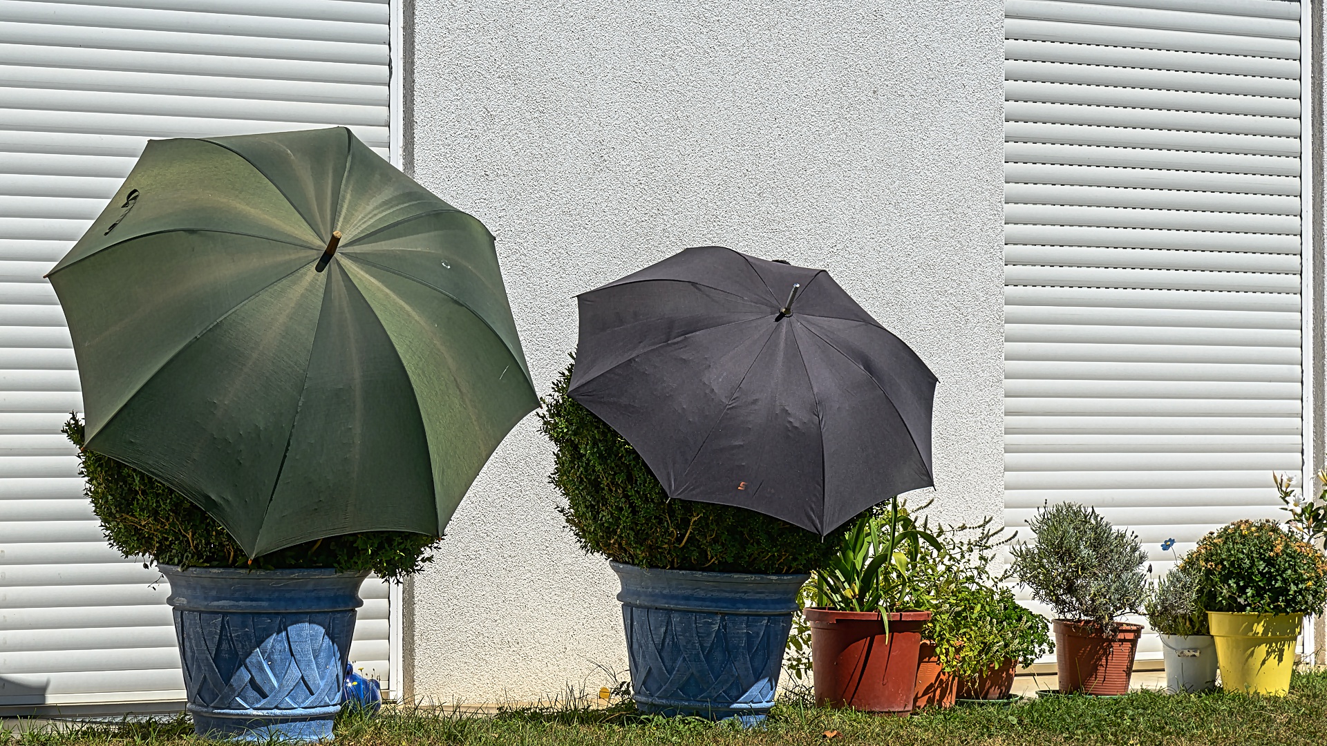 Nein es gibt noch kein Regen !