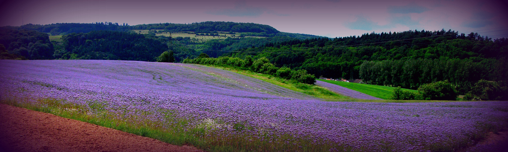 Nein, es ist nicht die Provence...