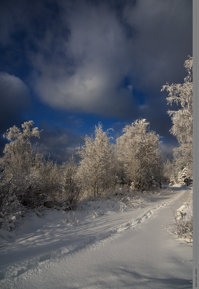 Nein, ich nenne es nicht Winterwonderland