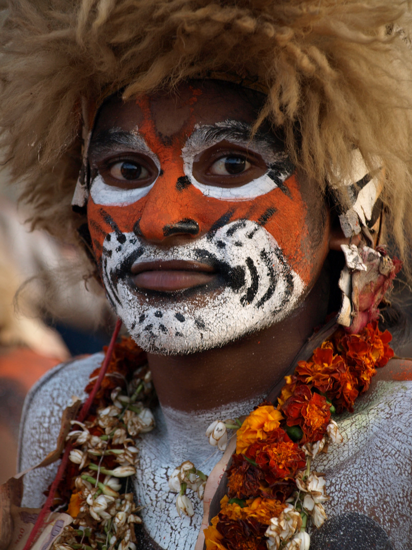 nein - nicht bei Cats - sondern ein Hindufest in Udupi