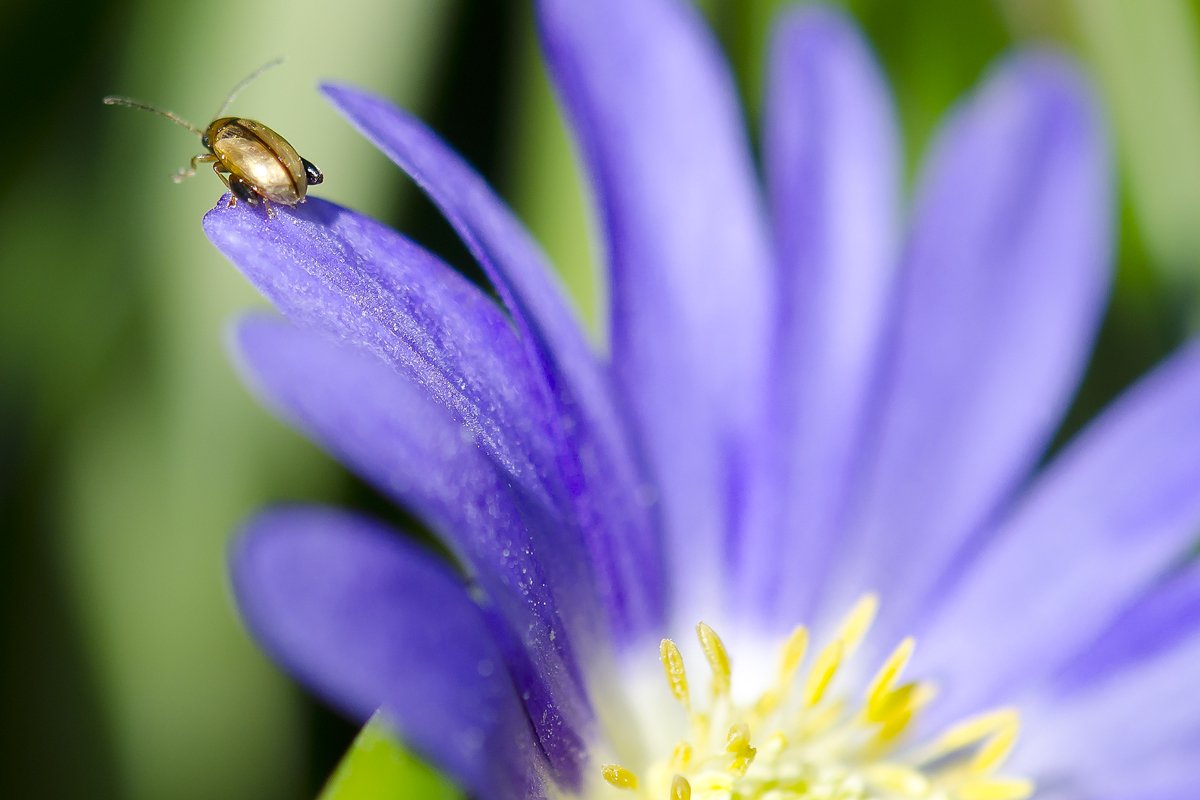 NEIN nicht springen....