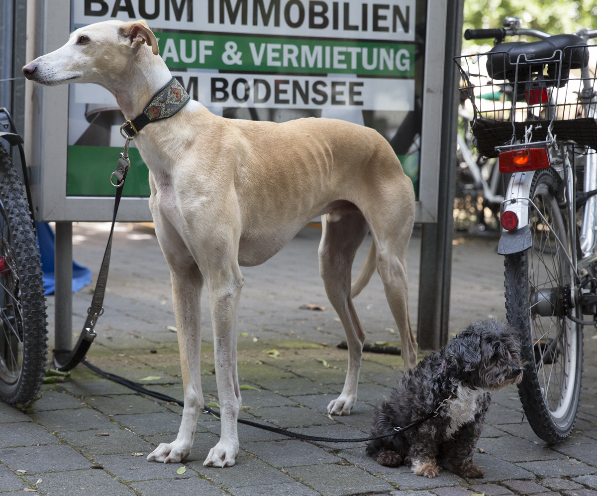 Nein, wir sind nicht verwandt !!