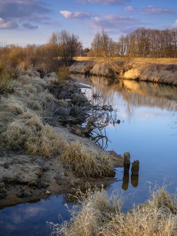 Neiße bei Forst (Lausitz) Foto & Bild landschaft, bach, fluss & see