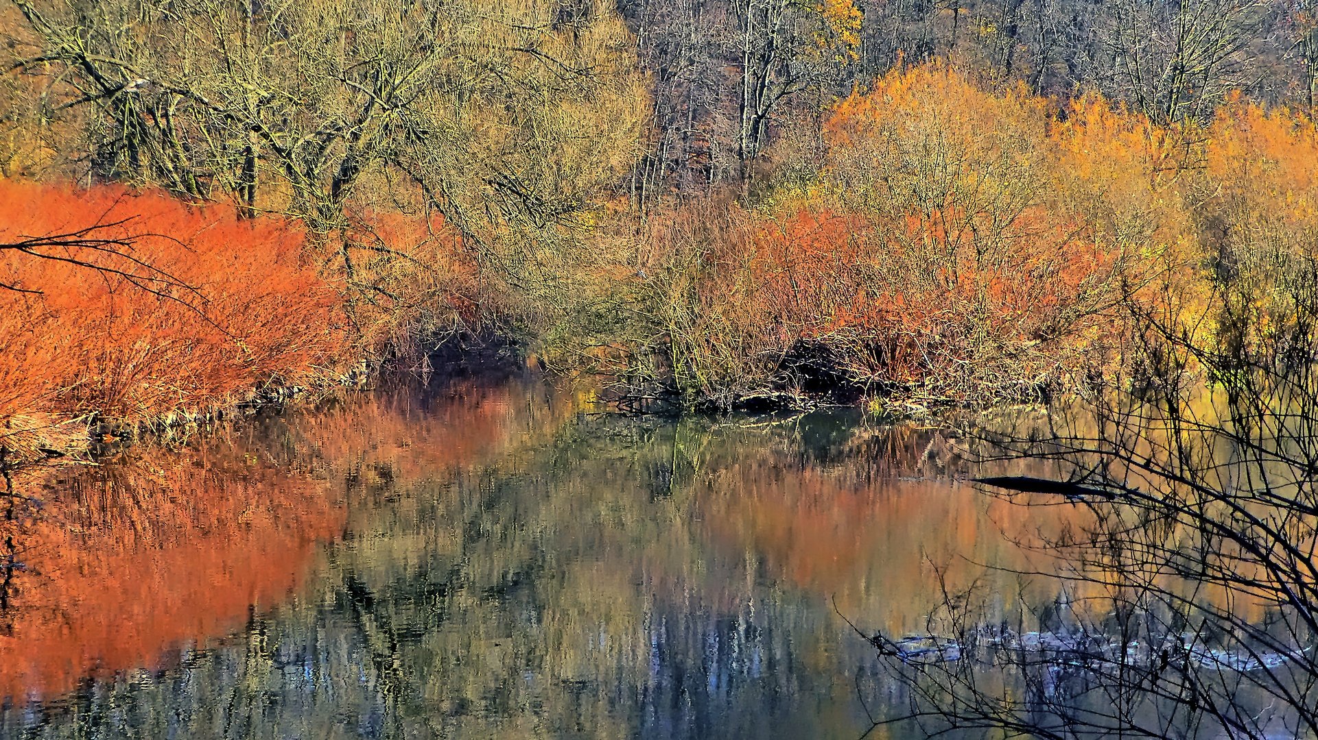 Neiße bei Görlitz