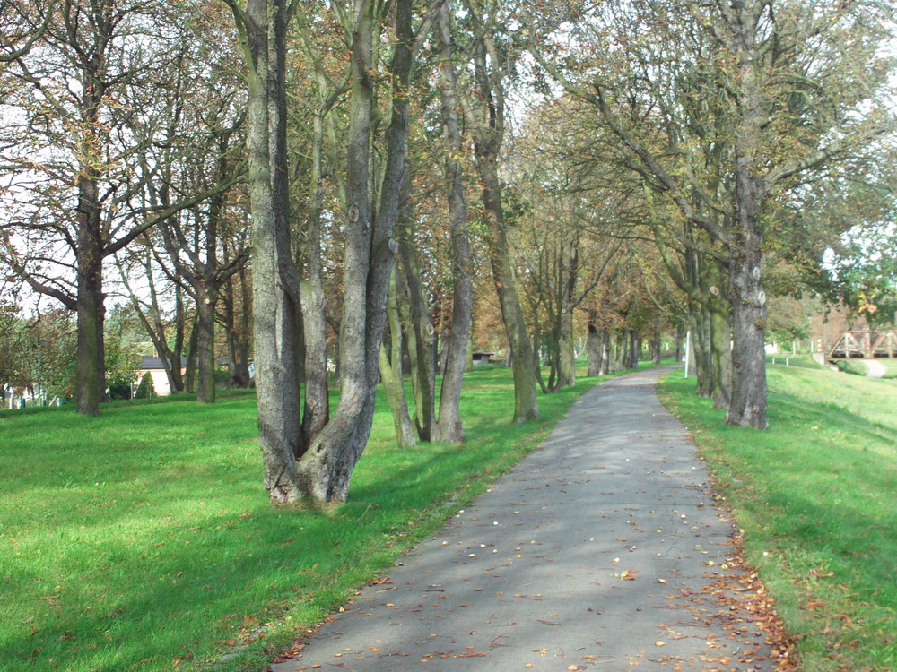 Neißeradweg im Herbst