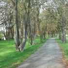 Neißeradweg im Herbst