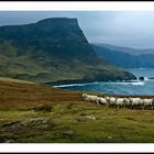 Neist Point