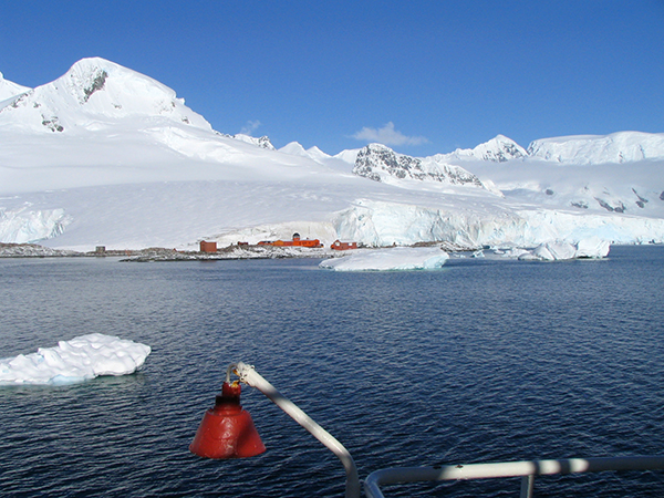 Neko Harbour