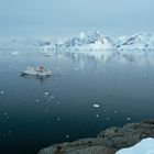 Neko Harbour - Antarctica