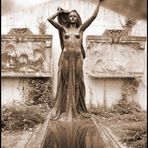 Nekropolis L.E. - Die Erwartung (The Expectation)