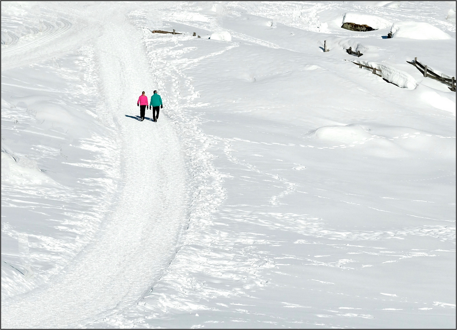 Nel bianco