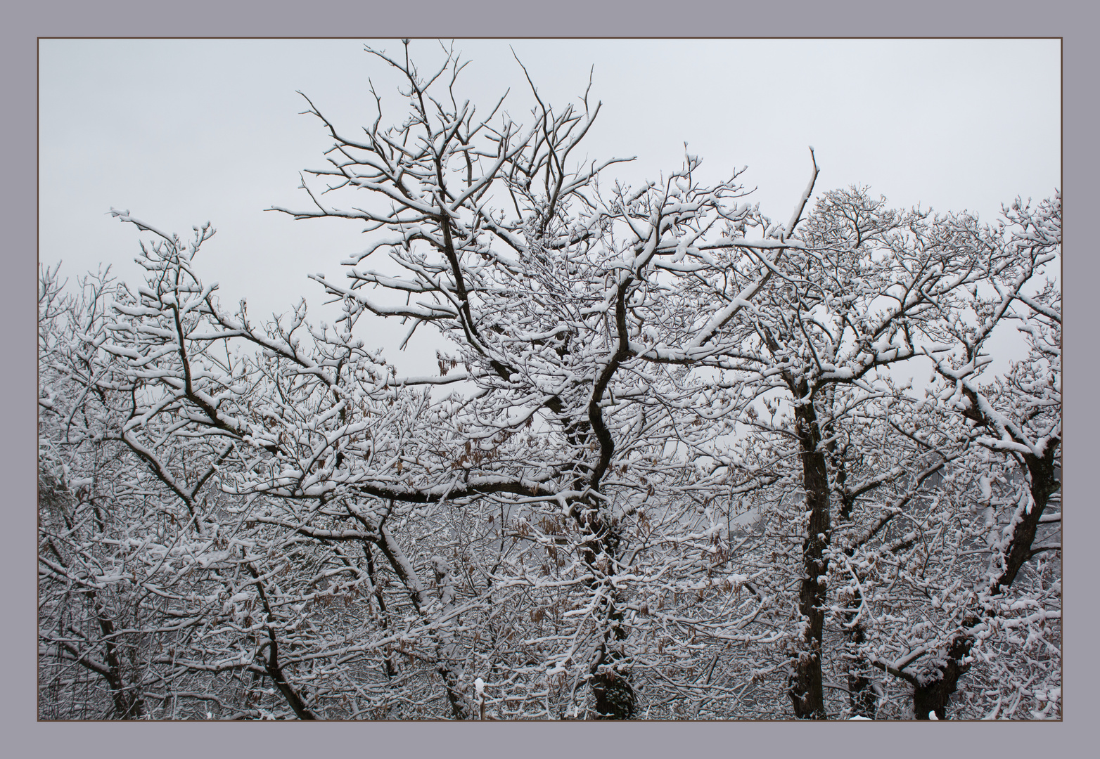 Nel bianco