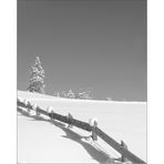 Nel bianco