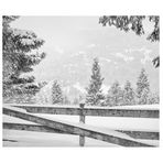Nel bianco/2