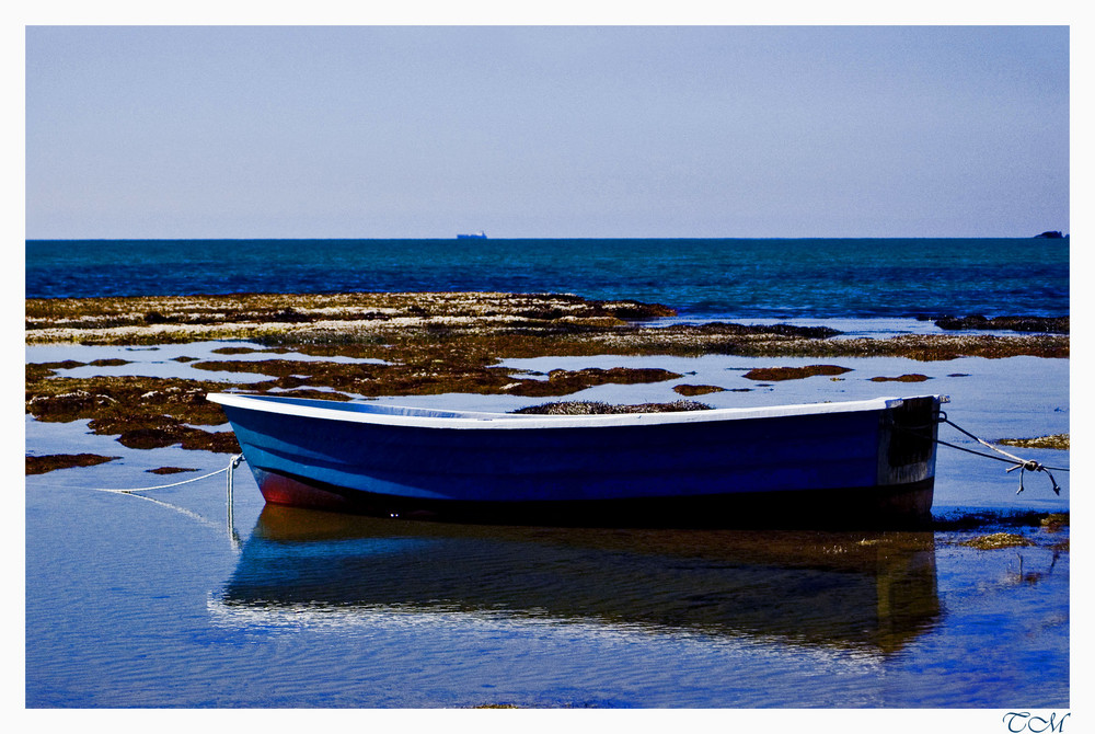 Nel BLU dipinto di BLU!!!!