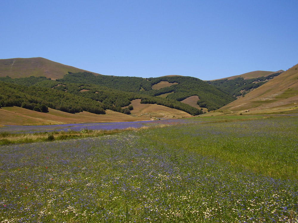 Nel blu dipinto di blu