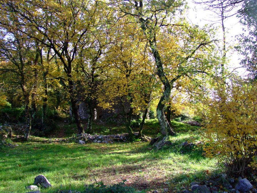 nel Boschetto Autunnale della MIA fantasia...