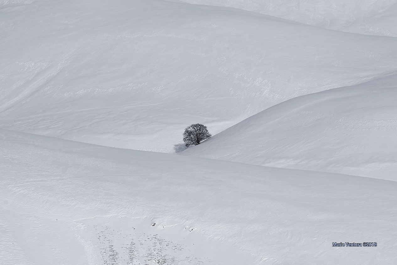 Nel candore dei Monti Sibillini