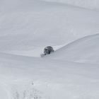 Nel candore dei Monti Sibillini