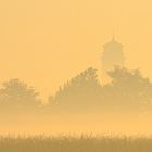 nel chiarore della nebbia