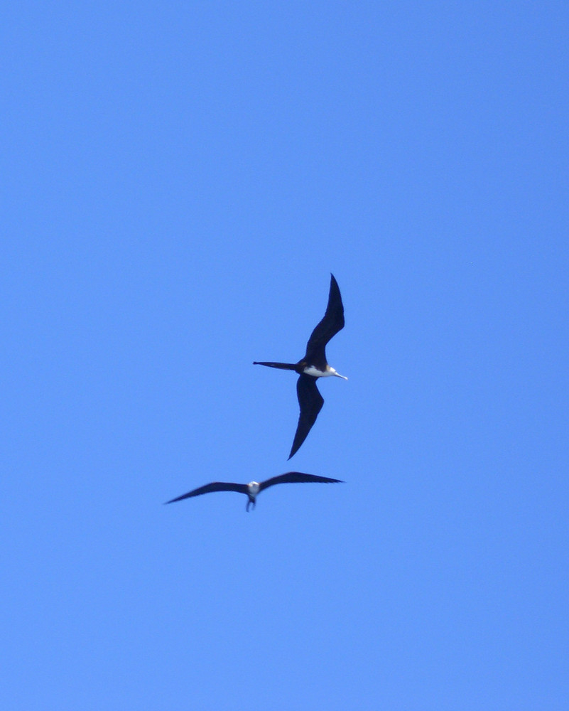 Nel cielo blu