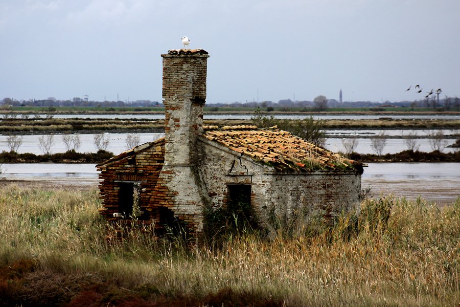 nel delta del Po