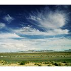 Nel deserto dell'Arizona