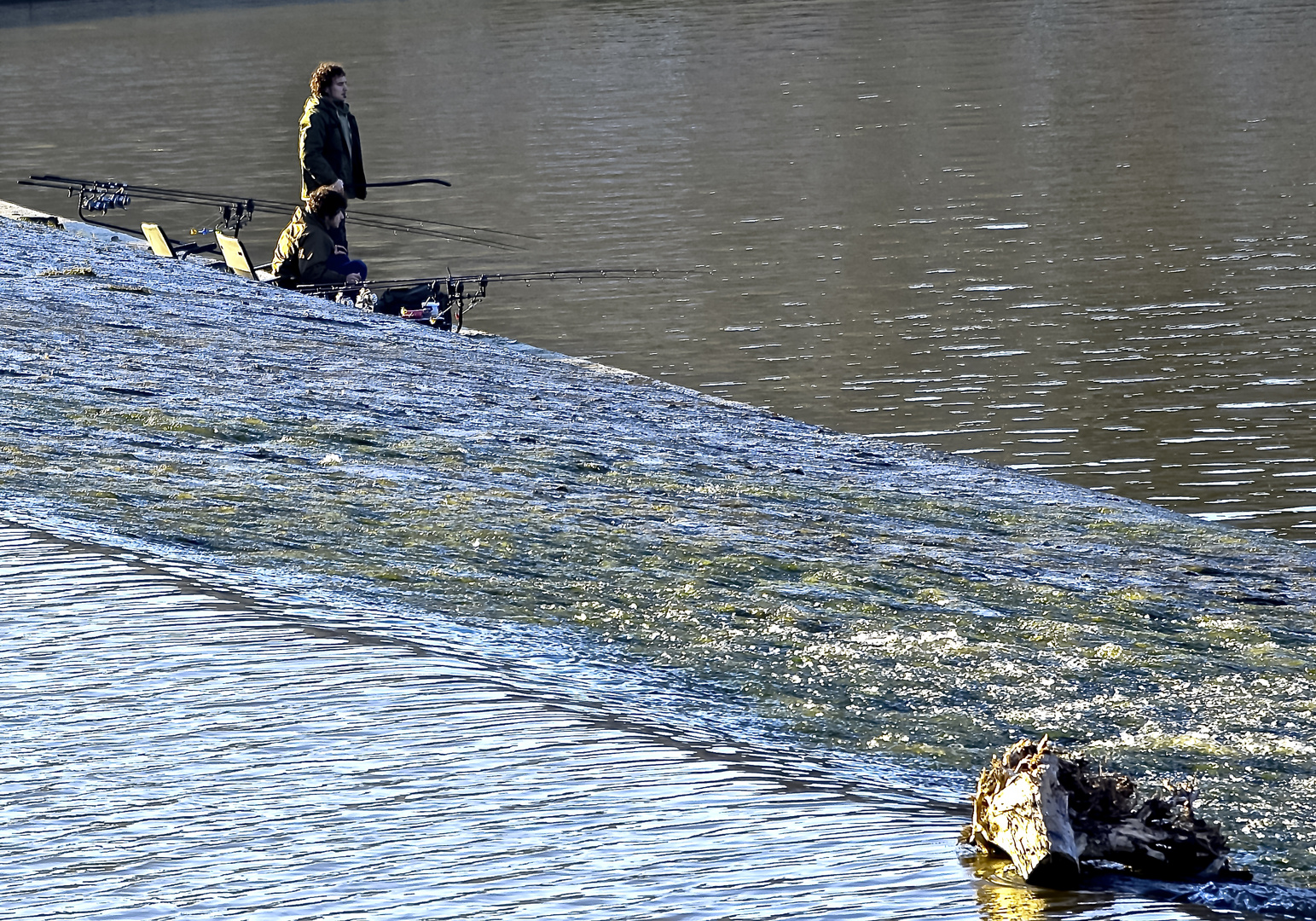 Nel fiume Arno.