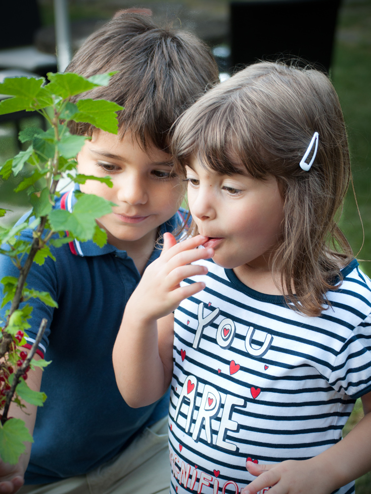 Nel giardino dei ribes