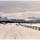 "Nel gran cerchio dell'Alpi.."