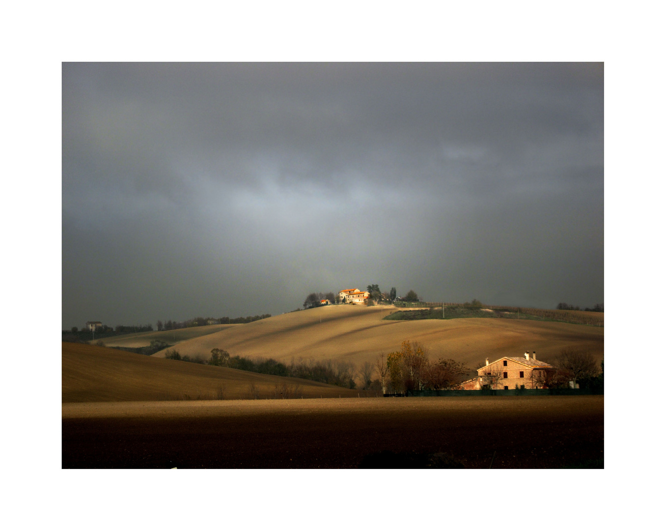 nel grigio d'autunno