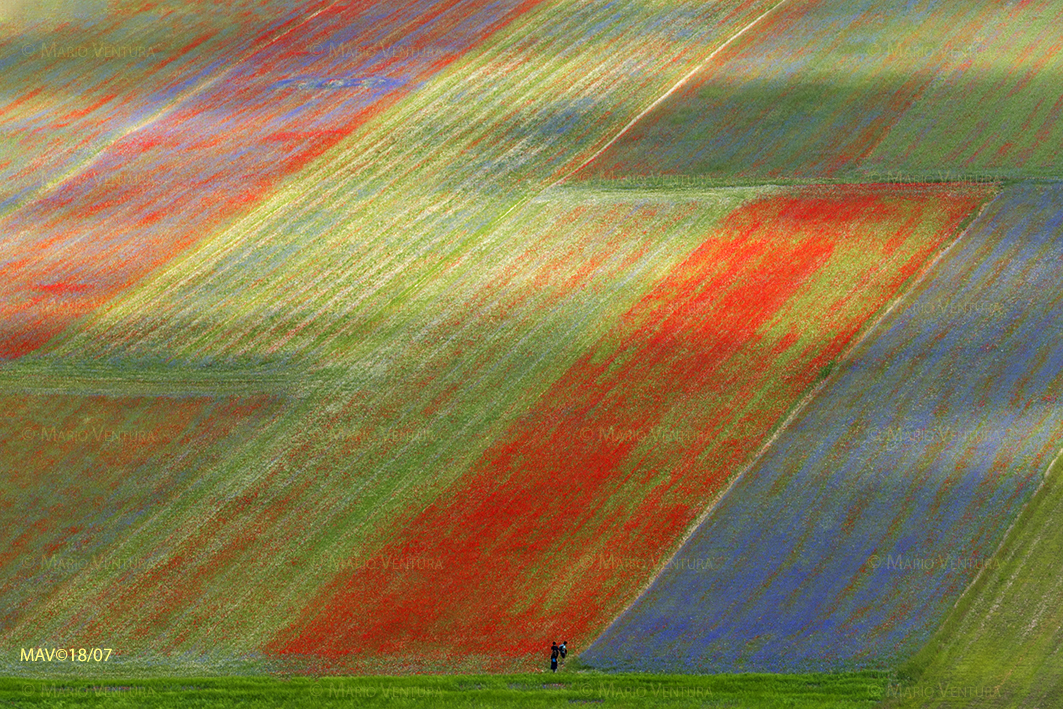 Nel labirinto dei colori