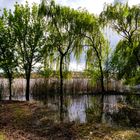 Nel lago di Varese