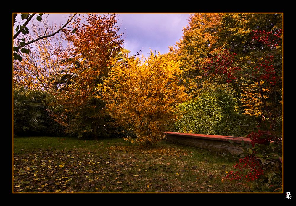 Nel mio giardino e' arrivato l'autunno