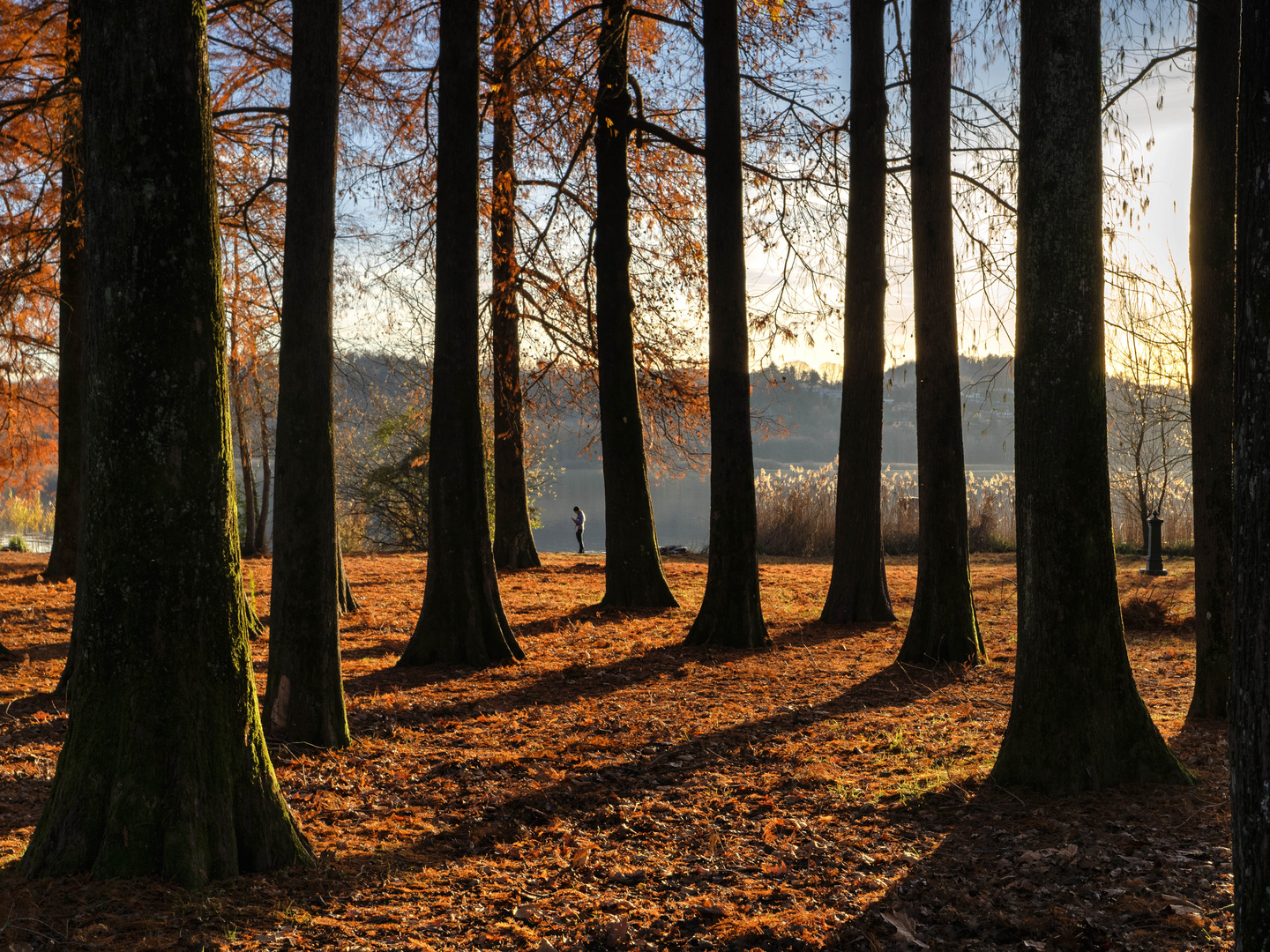 Nel parco Ciani