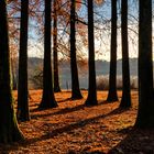 Nel parco Ciani