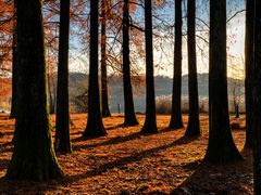 Nel parco Ciani