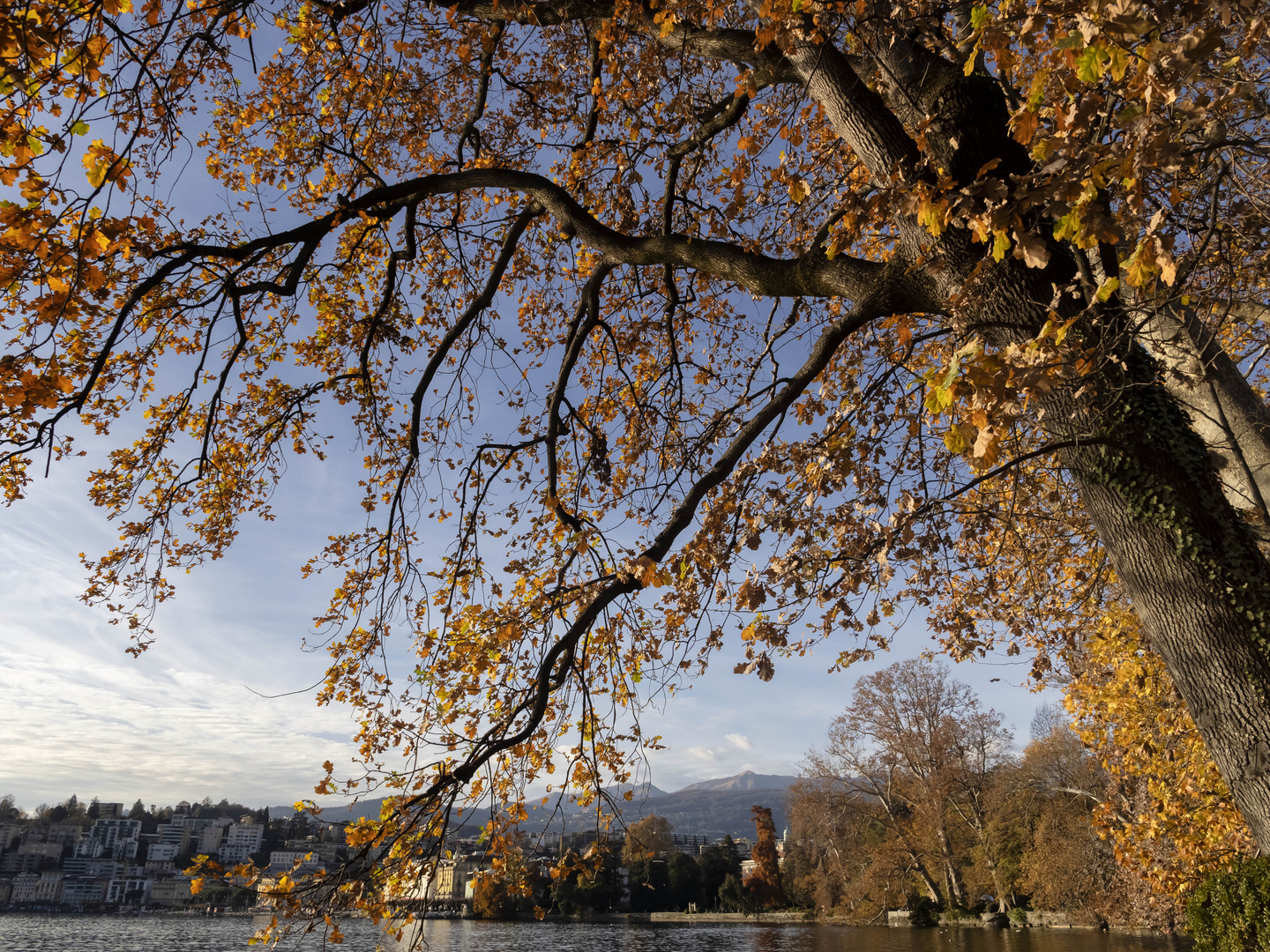 Nel Parco Ciani, Lugano