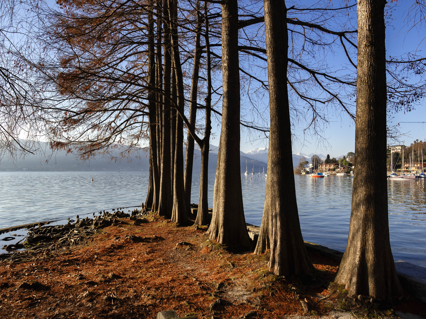 Nel parco del guree