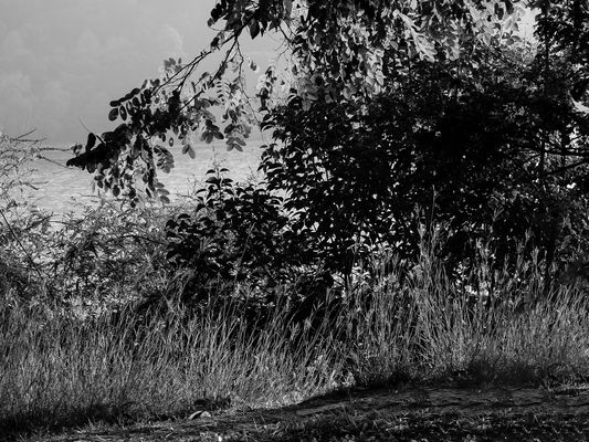 Nel parco delle fornaci